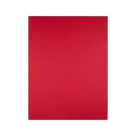 Cartulina liderpapel 50x65 cm 180g/m2 rojo navidad