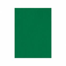 Fieltro liderpapel 50x70cm verde 160g/m2