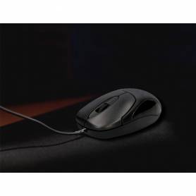 Raton q-connect optico 800 dpi usb 1,5 ghz negro