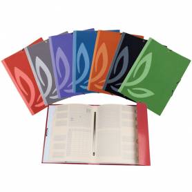 Carpeta liderpapel gomas carton forrado clasificadora folio 7 colores surtidos