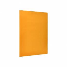 Subcarpeta liderpapel folio naranja intenso 180g/m2