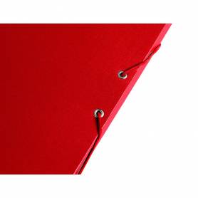 Carpeta proyectos liderpapel folio lomo 30mm carton forrado roja