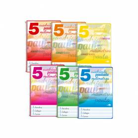 Cuaderno espiral liderpapel folio pautaguia tapa dura 80h 75 gr cuadro pautado 5mmcon margen colores surtidos