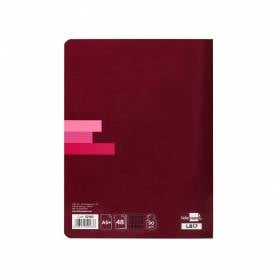 Libreta liderpapel scriptus a5 plus 48 hoj.90g/m2 cuadro 4mm con margen