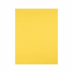 Cartulina liderpapel 50x65 cm 180g/m2 amarillo limon paquete de 25 hojas