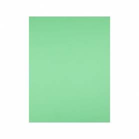 Cartulina liderpapel 50x65 cm 240g/m2 verde hierba paquete de 25 hojas