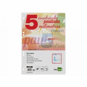 Recambio liderpapel cuarto pautaguia 100 hojas 75 g cuadriculado pautado 5 mm con margen 6 taladros