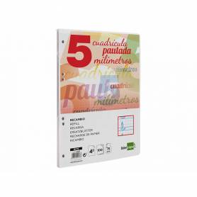 Recambio liderpapel cuarto pautaguia 100 hojas 75 g cuadriculado pautado 5 mm con margen 6 taladros