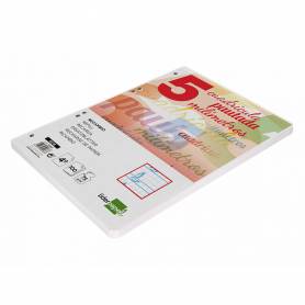 Recambio liderpapel cuarto pautaguia 100 hojas 75 g cuadriculado pautado 5 mm con margen 6 taladros