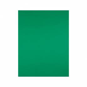 Cartulina liderpapel 50x65 cm 240g/m2 verde navidad