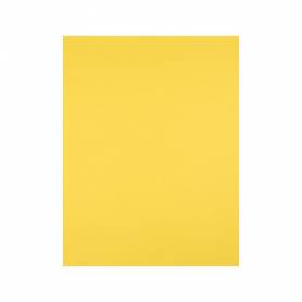 Cartulina liderpapel 50x65 cm 240g/m2 amarillo limon