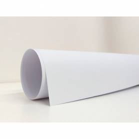 Cartulina liderpapel 50x65 cm 180g/m2 blanco