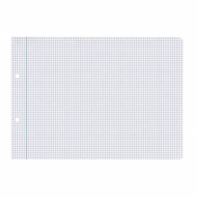 Recambio liderpapel cuarto apaisado 100 h 2tca-06 cuadro 3 mm 2 taladros con margen