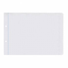 Recambio liderpapel cuarto apaisado 100 h 2tca-01 cuadro 4 mm 2 taladros con margen