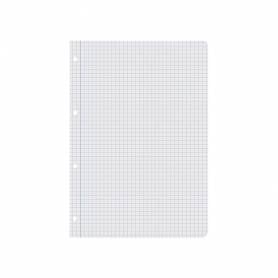 Recambio liderpapel a4 100 hojas 60g/m2 cuadro 6 mm 4 taladros con margen