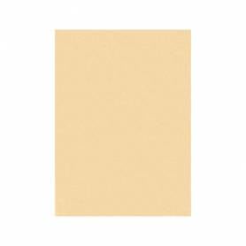 Fieltro liderpapel 50x70cm color carne 160g/m2