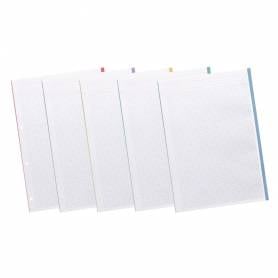 Recambio liderpapel a4 200+50 hojas 90g/m2 cuadro 5 mm 4 taladros bandas de 5 colores