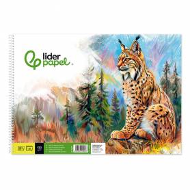 Bloc dibujo liderpapel artistico natura espiral 230x325mm 20 hojas 130g m2 sin recuadro perforado - DA17