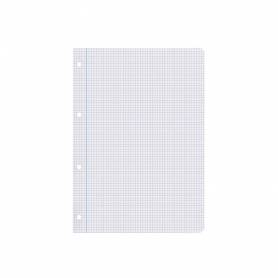 Recambio liderpapel a4 100 hojas 100g m2 cuadro 5 mm con margen 4 taladros - RA10