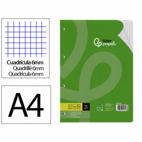 Recambio liderpapel din a4 100 hojas 75 gr cuadro 6 mm 4 taladros con margen - RF04