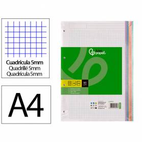 Recambio liderpapel a4 120 hojas 90gr cuadro 5 mm 4 taladros bandas de 5 colores pasteles - RE11