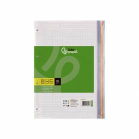 Recambio liderpapel a4 120 hojas 90gr cuadro 5 mm 4 taladros bandas de 5 colores pasteles - RE11