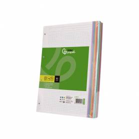 Recambio liderpapel a4 120 hojas 90gr cuadro 5 mm 4 taladros bandas de 5 colores pasteles - RE11