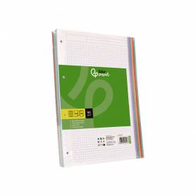 Recambio liderpapel a4 120 hojas 90gr cuadro 5 mm 4 taladros bandas de 5 colores pasteles - RE11