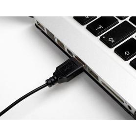 Raton ngs wired optico con cable 1000 dpi ambidiestros usb 2,4 color negro